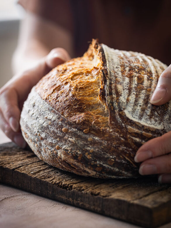two hands lovingly holding a loaf of crusty sourdough bread with a lovely ear