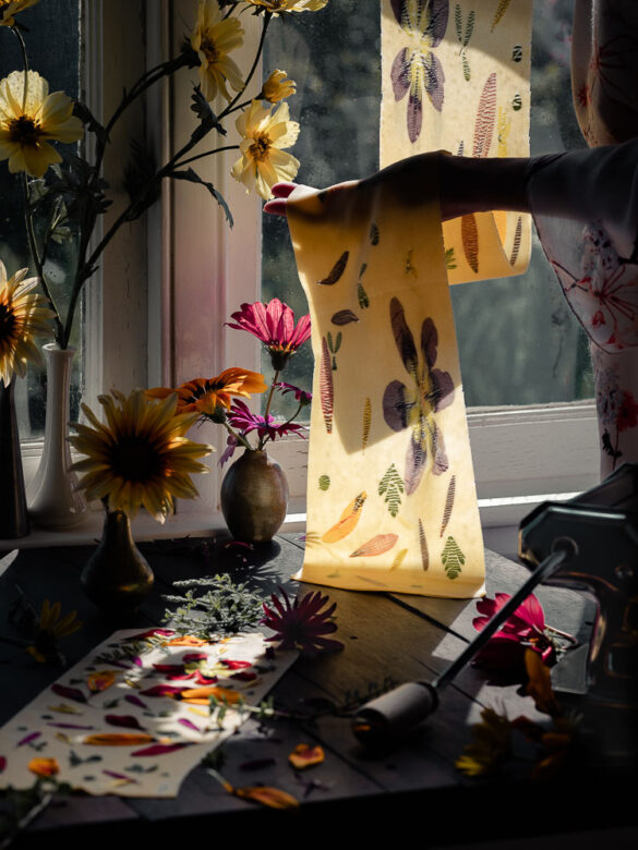 A scene by a window of flower pedals being incorporated into pasta dough sheets, with light shining through the sheet showing the flower art