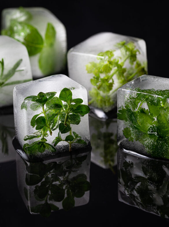 Five ice cubes with herbs frozen inside on a black reflective surface