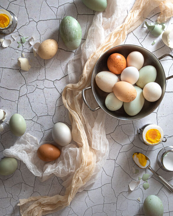 White and brown hen eggs, and some green duck eggs in a bowl and scattered around the scene on an eggshell looking background