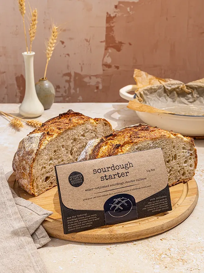 Sourdough Starter - Copy